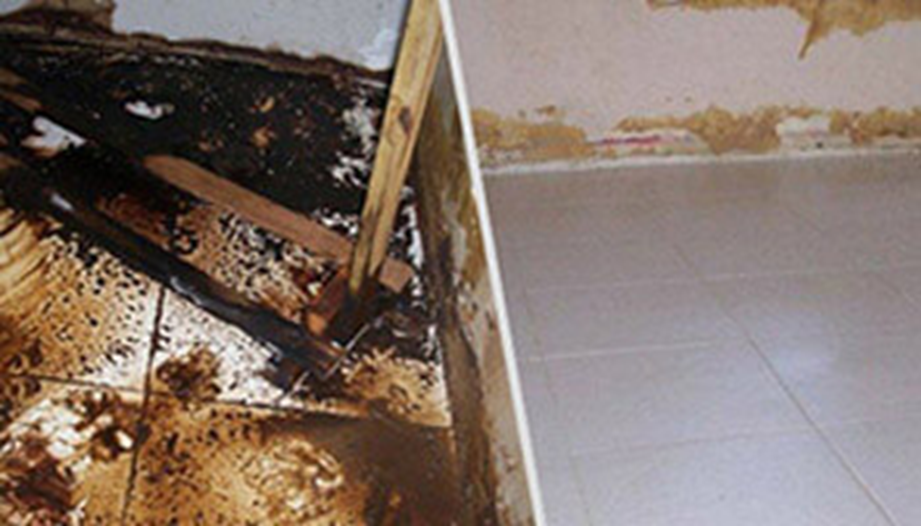 Cleansing Trauma: Crime Scene Cleanup Company Unveiled