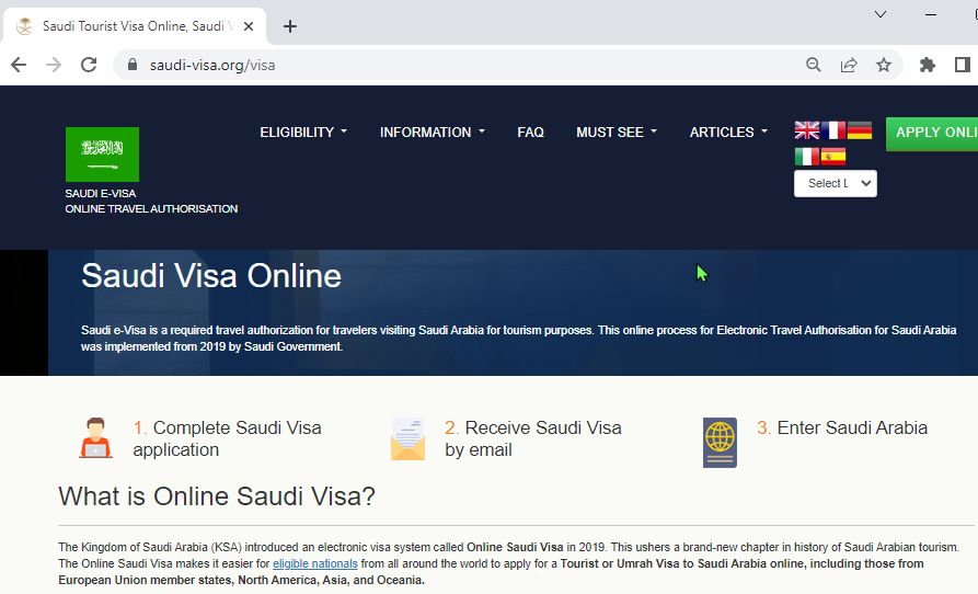 Unlocking Chances: Navigating your Saudi Arabia Visa Panorama