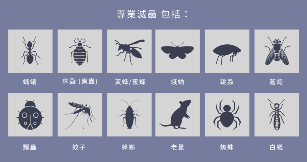 Retaining Your own home Pest-Free The main Guidebook for you to Pest Control Services