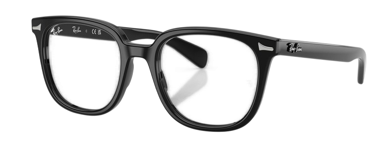 Ray Ban Brunel II RX